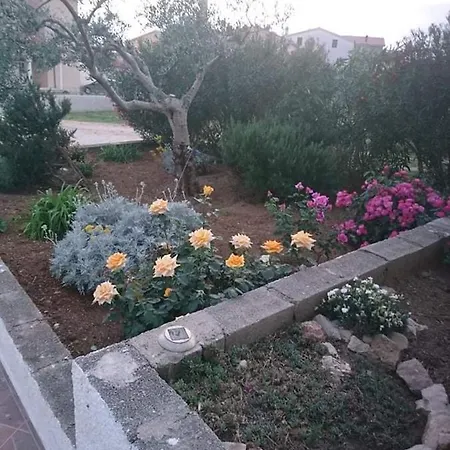 Zoran Apartment *