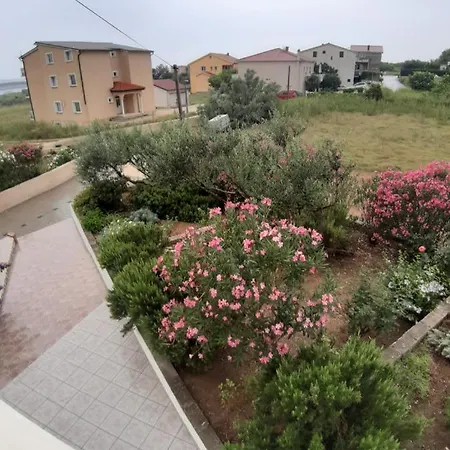Apartment Zoran Povljana
