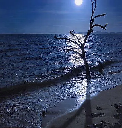 Zoran Διαμέρισμα Povljana