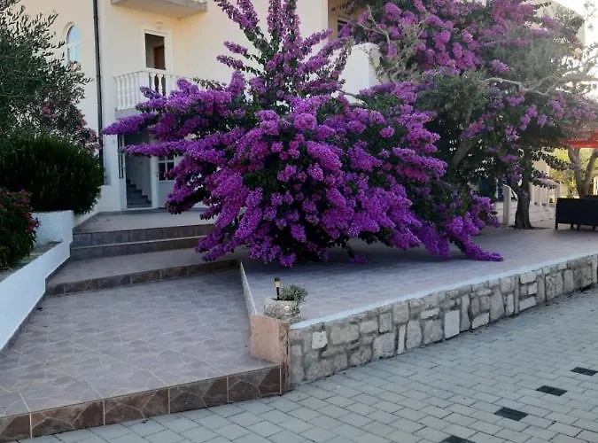 Appartement Zoran *