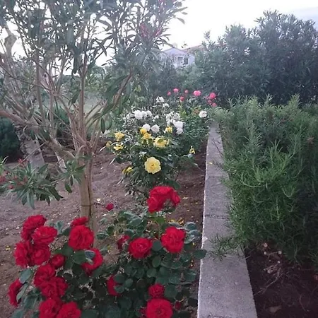 Zoran Apartmán Povljana