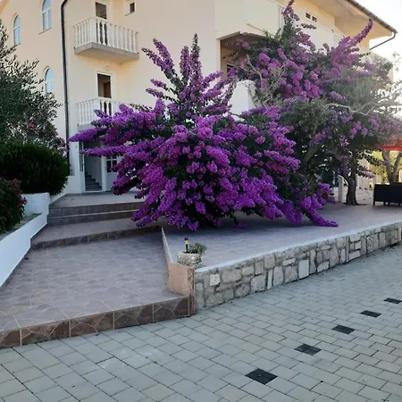 Apartmán Zoran *