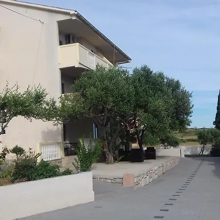 Zoran